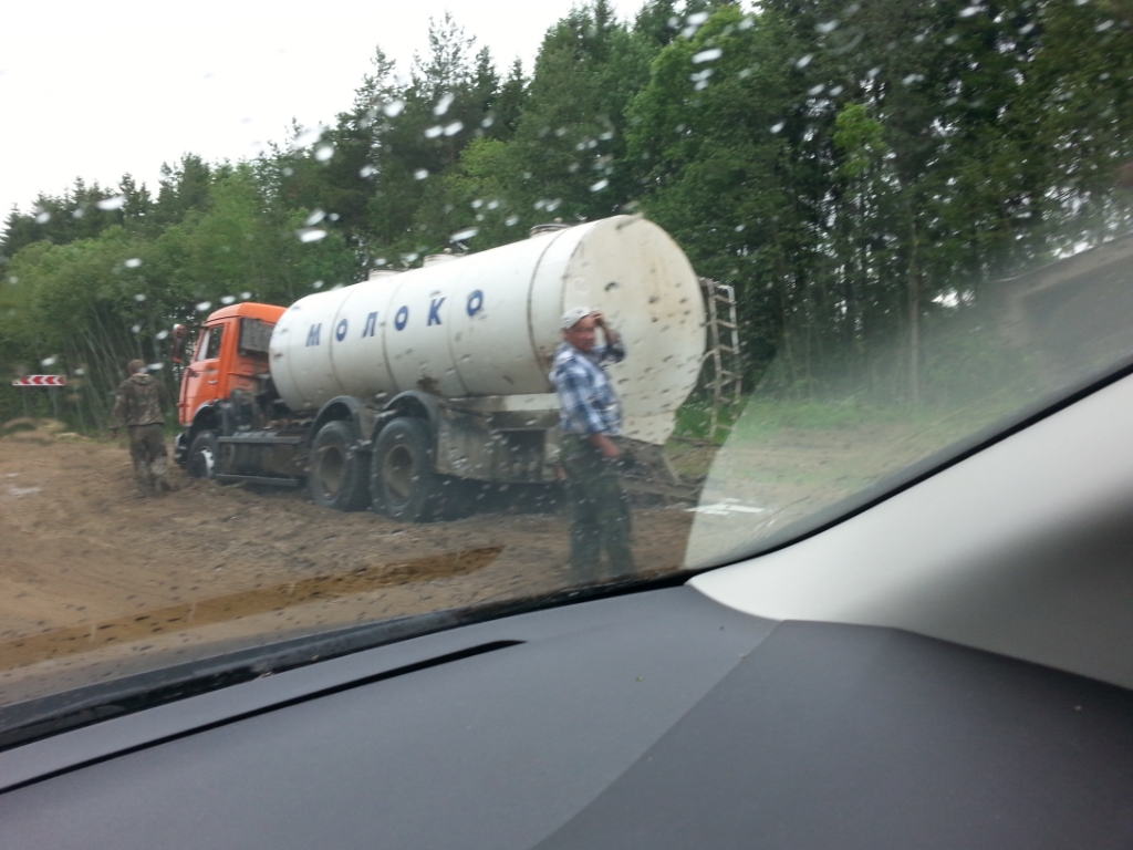 Первые ласточки