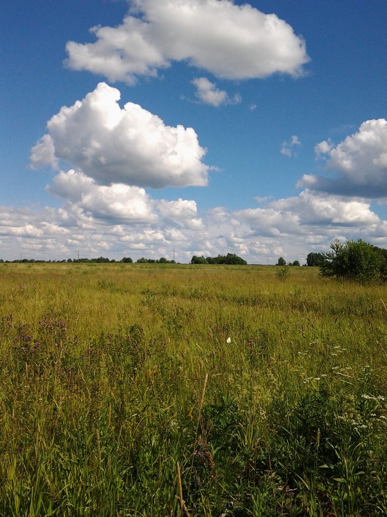 GalichDistrict_July_Clouds.jpg