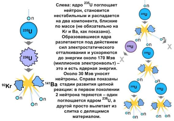 Подобные процессы возможны также для 239Pu, 233U, и некоторыми другими ядрами с нечетным количеством нуклонов